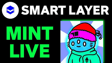 Smartlayer Network Airdrop | Smartlayer Network Smart Cat Mint | Smart Cat Dress Up Process