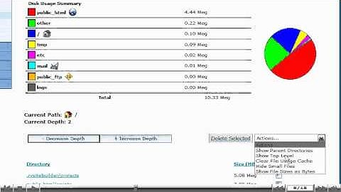 Using the Disk Usage Viewer in cPanel