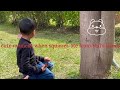 Cute heartwarming moment| 5 year old &squirrels #toddlers #nature #squirrels #kidandnature