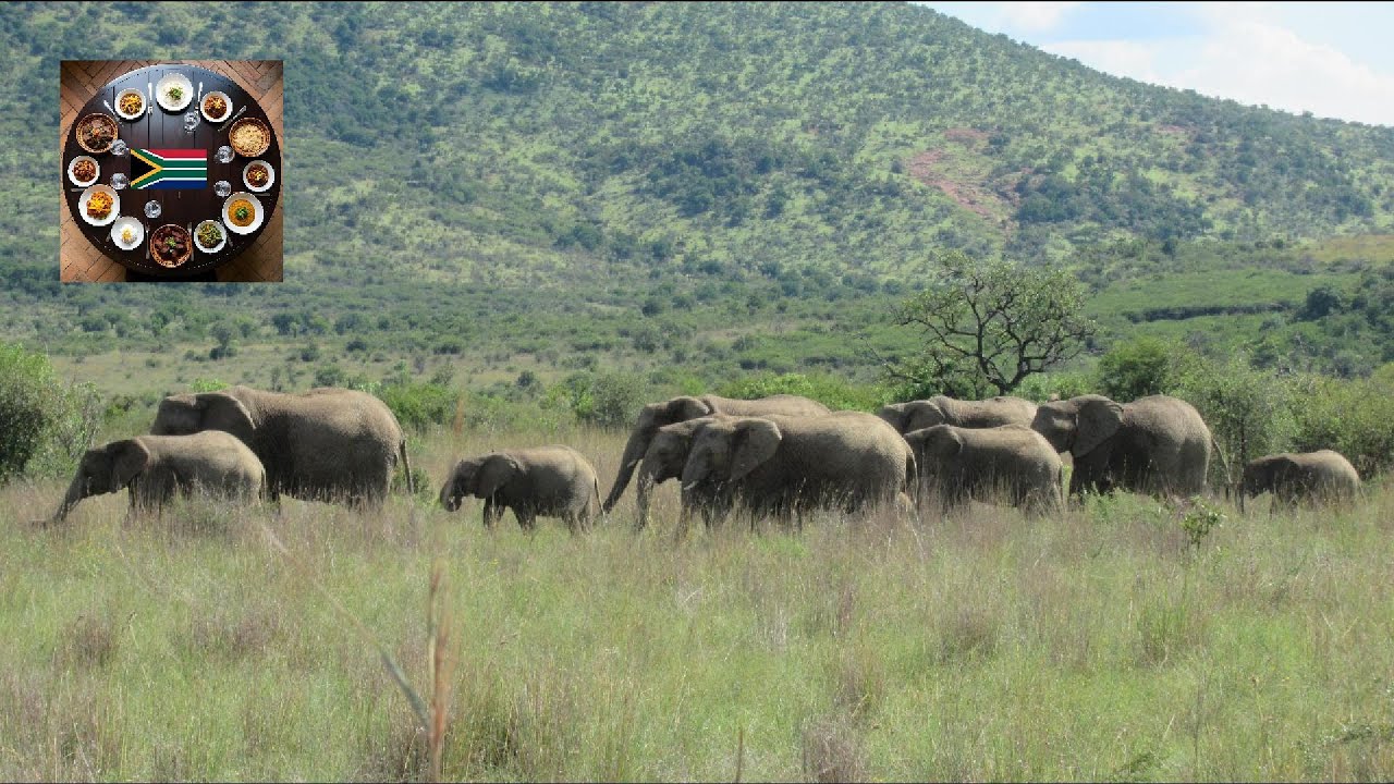 Around The World - Chapter 4: South Africa - YouTube