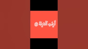 عندما قرأ محمد صلى اللّٰه عليه وسلم سورة النجم #سورة_النجم #محمد_اللحيدان #قريش #خشوع #التوبة