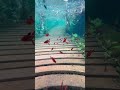 مکان هایی در برزیل که واقعی به نظر نمی رسند سفر کاوش ماجراجویی طبیعت برزیل