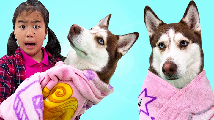 Jannie and Eric Play with a Husky Dog | Kids Take ...