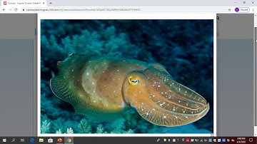 Inspire Science 2.0: Parent Support