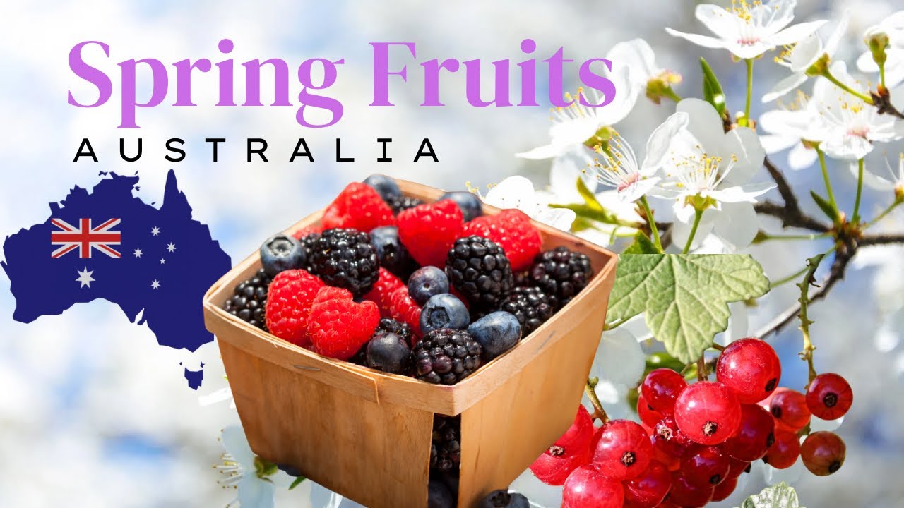 Sweet Spring Fruits in Australia 🇦🇺🌸Taste of the Season! - YouTube