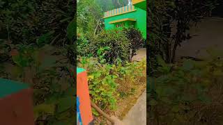 moria#!!:   🌱🌿🌳🌳🌳🌼!!*".     short*!!:    follow"/!!!