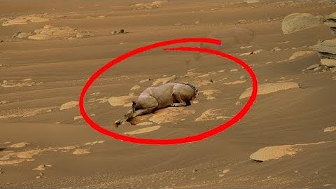 NASA Mars Perseverance Rover Released This Panoramic View Of Mars Surface | Latest Mars Video in 4k