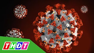 Cảnh báo biến thể virus SARS-CoV-2 | THDT