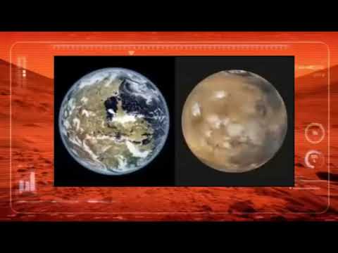 Video: Doar O Piatră Sau Un Animal? Nouă Fotografie Curioasă De La Marte - Vedere Alternativă