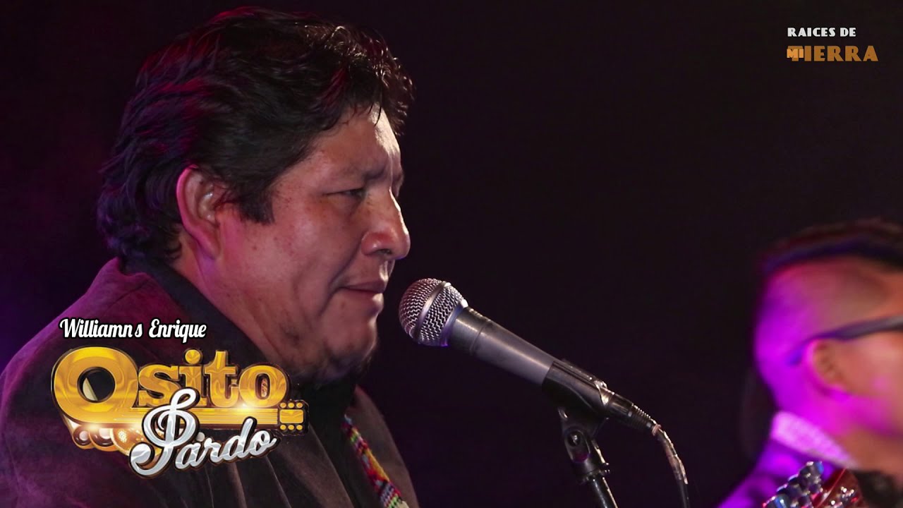 Osito Pardo - Mix Exitos (Concierto) 2019