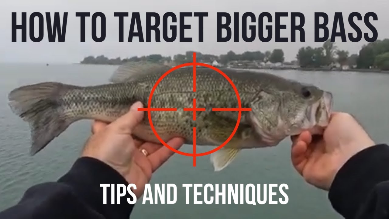 Lake St Clair Bass Fishing From The Bank | How To Target Bigger Bass
