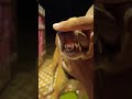 Dame Un Garr Cute Funny Dog Comedy Shorts Dame Un Garr Cute Funny Dog Comedy Shorts