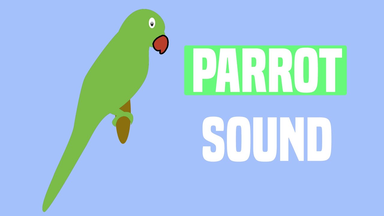 Parrot Sound Effects Loud Parrot Chirping in HD Quality by Just Sound