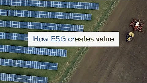 How ESG creates value