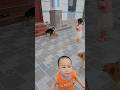 playing with my dogs#funy #viral#family#run #family#love#happy