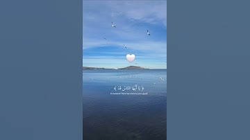سورة يونس (56-57) ♡♡