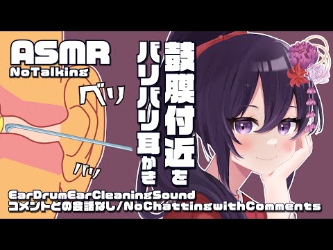 【ASMR】鼓膜付近をゴリゴリ耳かき-ステンレス-/Ear Drum Ear Cleaning Sound#222【村瀬巴/睡眠導入/声なし/4h/No Talking】