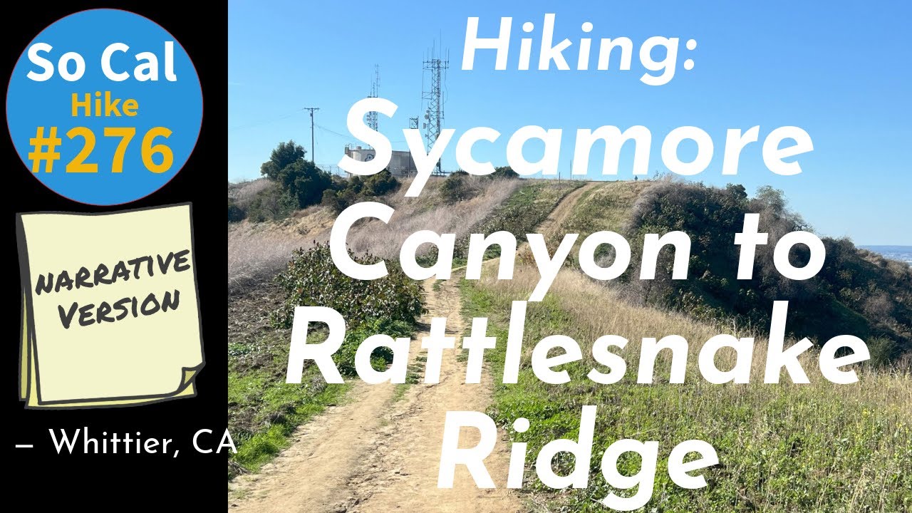 Hike #276N: Sycamore Canyon to Rattlesnake Ridge, Whittier, CA ...