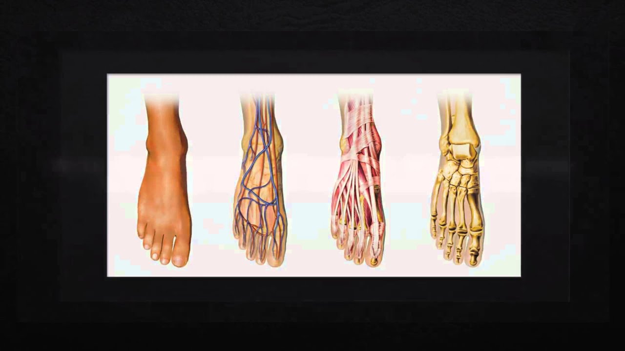 Orthotics Dallas TX Call 2146461119 YouTube