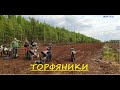 ЭНДУРОПОКАТУШКИ ПО ТОРФЯНИКАМ/СНОВА ПРОБЛЕМЫ С МОТОЛЕНДОМ