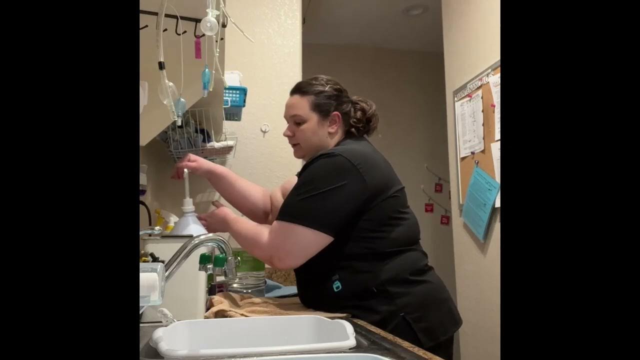 Penn foster vet tech externship 2 skill 3 instruments youtube