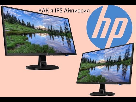 Обзор IPS монитора HP 24y