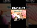 【猫ミーム】甘酸っぱい臭いの枕