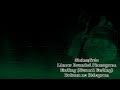 Steins;Gate - Linear Bounded Phenogram Ending (Normal End) - Rakuen no Hologram