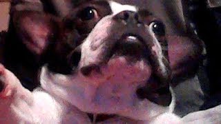 HAPPY MOTHERS DAY LOVE FROM DA TROTTER!!!