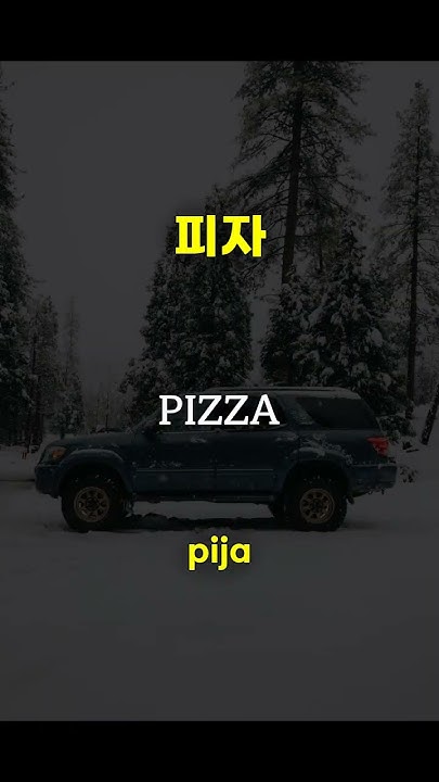 how-to-say-party-which-car-should-i-take-pizza-dislike-travel-in