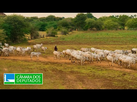 COMISSÃO DE AGRICULTURA, PECUÁRIA, ABASTECIMENTO E DESENVOLVIMENTO RURAL