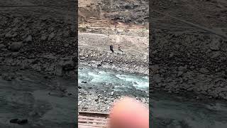 #manali #himachalpradesh #ropway #trip #ridelover#college #professional