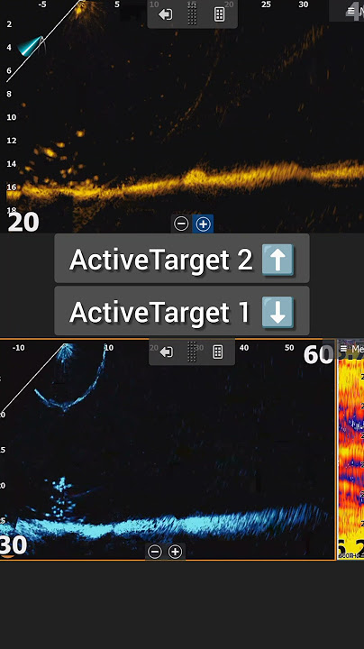 Active Target vs. Livescope true comparision on water.