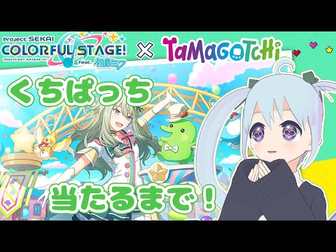 【プロセカ×たまごっち】大好きなくちぱっちに会えるまでみんなたまとも！どり～むガチャ引きます！【#ゆむらいぶ】