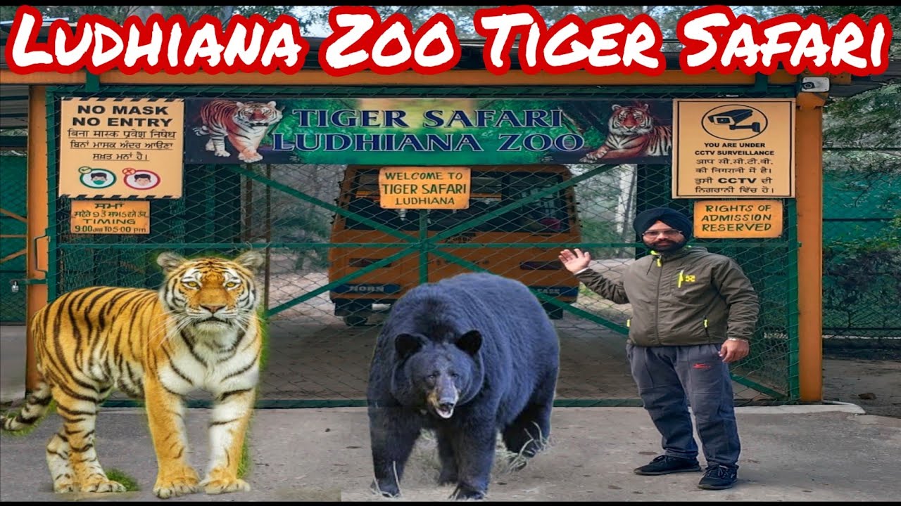 tiger safari ludhiana timings