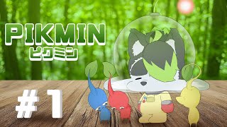 【#ピクミン1】引っこ抜くから俺だけについて来て！！（十数年ぶりに遊びます）【こうの人】