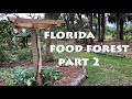 Spring 2020 Florida Food Forest Tour - Part 2
