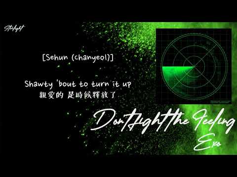 [中韓歌詞/繁中字認聲] EXO 엑소 - Don't fight the feeling