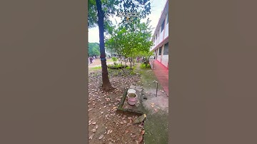 Counselling Day 31st July 2025🎓 || Govt. J. Yoganandam Chhattisgarh College📚 Raipur📍