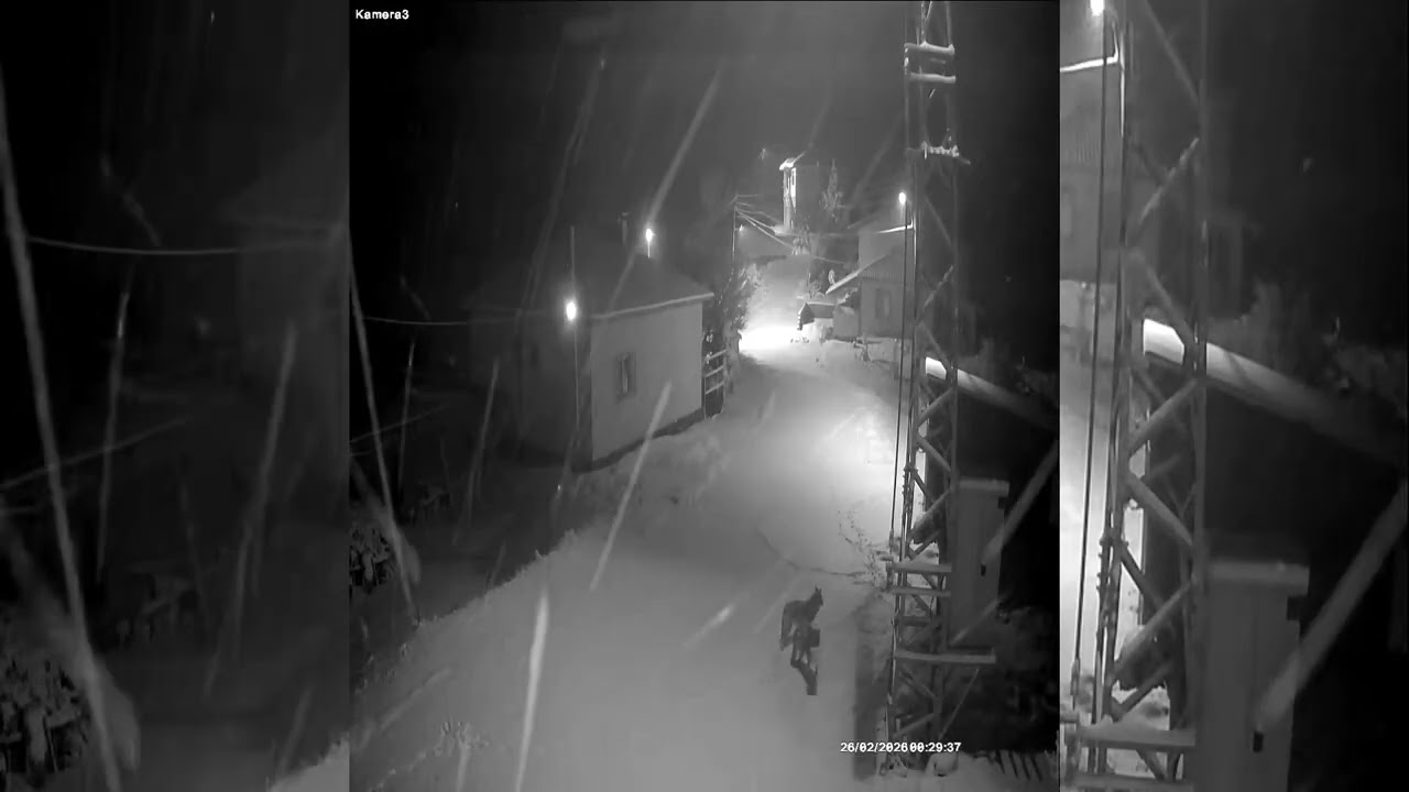 Aç kalan kurtlar köye indi ...Divriği çamşıh balova köyü 