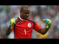 Vincent Enyeama - Best Saves - World Cup 2014 HD