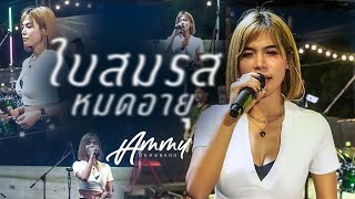 ใบสมรสหมดอายุ - แอมมี่ มงคลBand | Cover แสดงสด