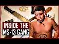MS 13 The Most Ruthless Gang In America Gang World Twisted Tales MS 13 The Most Ruthless Gang In America Gang World Twisted Tales