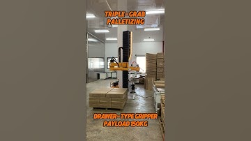 Triple-grab palletizing,Drawer-type gripper Payload 150Kg #palletizer #depalletizer
