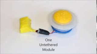 Using Voice Coils to Actuate Modular Soft Robots: Video S3   One Untethered Module