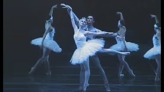 コーダ「白鳥の湖」ワイルズ＆シュピレフスキー、ルーマニア国立バレエ　Coda Swan Lake M.Wiles & A.Shpilevskiy,Romanian National Ballet