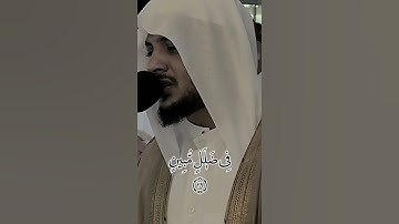 قل أرأيتم أن أهلكني الله ومن معي أو رحمنا ..ما تيسر من سورة #الملك   #هيثم_الدخين