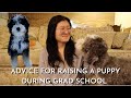 Raising a Puppy During Medical School