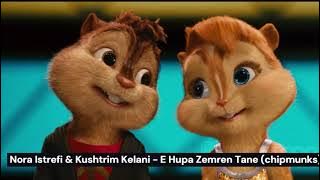 Nora Istrefi & Kushtrim Kelani - E Hupa Zemren Tane (chipmunks)