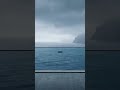 Foggy Ocean Focus